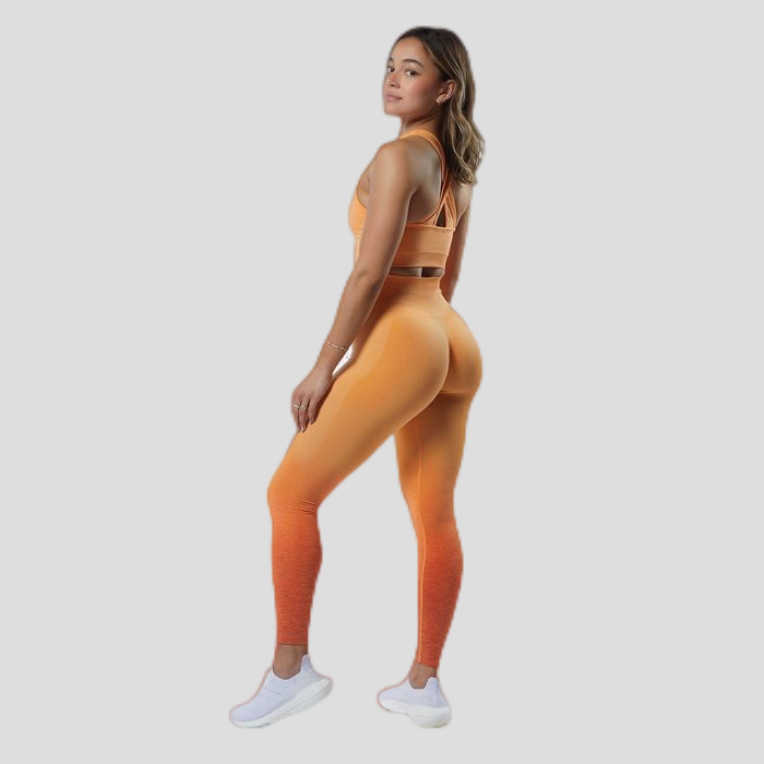 Seamless Breathable Gradient Yoga Set